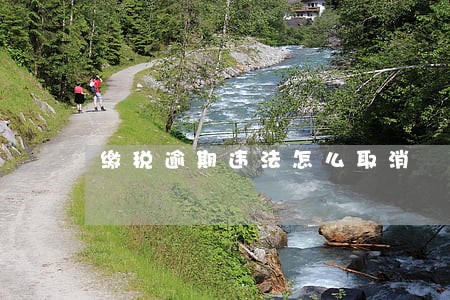 缴税逾期违法怎么取消 缴税逾期违法怎么取消