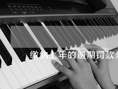 缴纳上年的逾期罚款分录 缴纳上年的逾期罚款分录