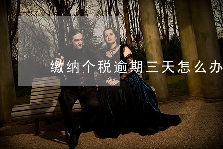 缴纳个税逾期三天怎么办 缴纳个税逾期三天怎么办