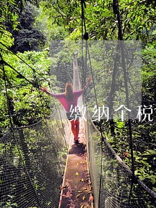 缴纳个税逾期怎么处理 缴纳个税逾期怎么处理