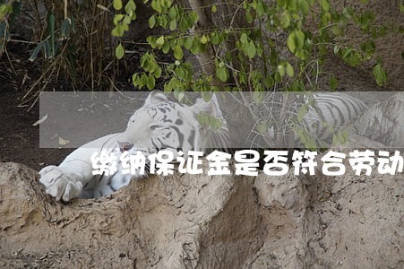 缴纳保证金是否符合劳动法规定 缴纳保证金是否符合劳动法规定