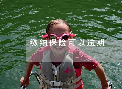 缴纳保险可以逾期 缴纳保险可以逾期