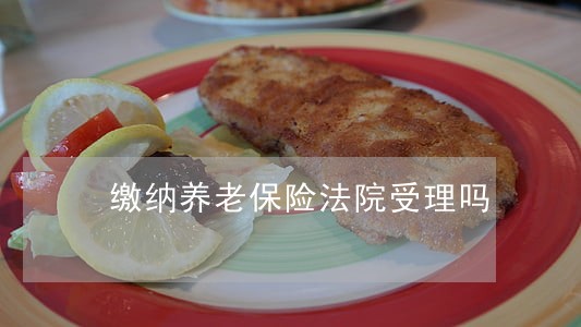 缴纳养老保险法院受理吗 缴纳养老保险法院受理吗