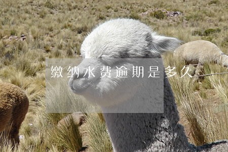 缴纳水费逾期是多久 缴纳水费逾期是多久