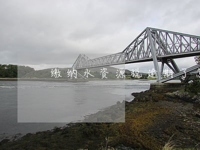 缴纳水资源税逾期了怎么办 缴纳水资源税逾期了怎么办