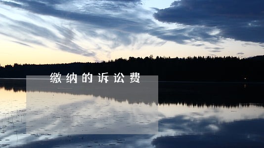 缴纳的诉讼费