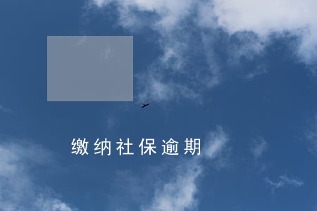 缴纳社保逾期 缴纳社保逾期