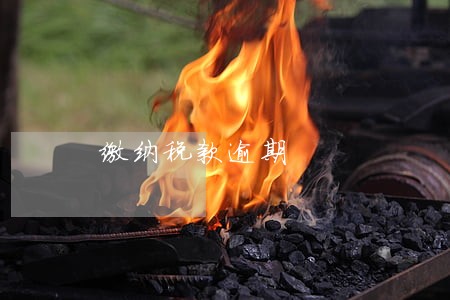 缴纳税款逾期 缴纳税款逾期