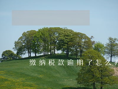 缴纳税款逾期了怎么办 缴纳税款逾期了怎么办