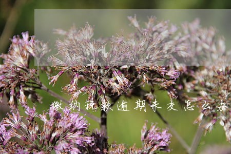 缴纳税款逾期未交怎么办 缴纳税款逾期未交怎么办