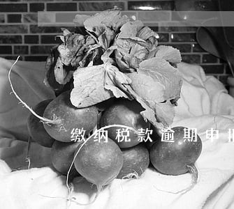 缴纳税款逾期申报 缴纳税款逾期申报