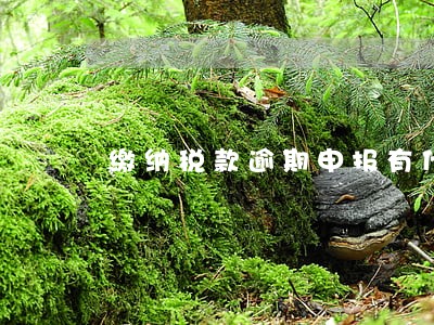 缴纳税款逾期申报有什么影响