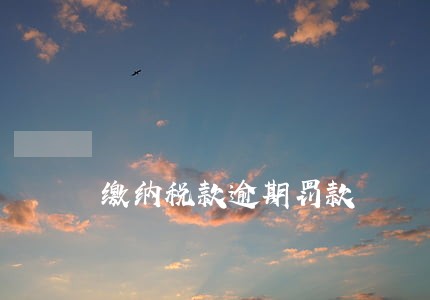缴纳税款逾期罚款 缴纳税款逾期罚款