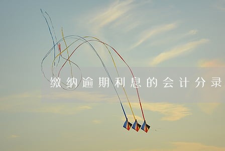 缴纳逾期利息的会计分录 缴纳逾期利息的会计分录
