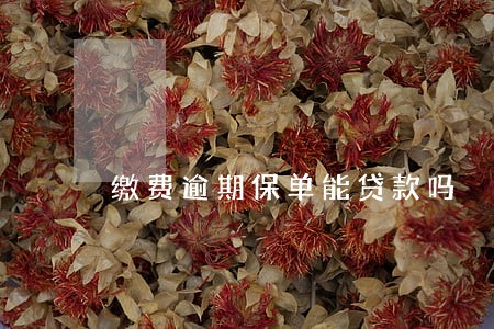 缴费逾期保单能贷款吗 缴费逾期保单能贷款吗
