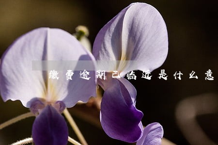 缴费逾期已临近是什么意思 缴费逾期已临近是什么意思