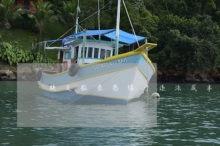 缺乏敬畏感缘于违法成本太低 缺乏敬畏感缘于违法成本太低