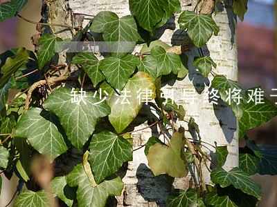 缺少法律引导终将难于执行 缺少法律引导终将难于执行