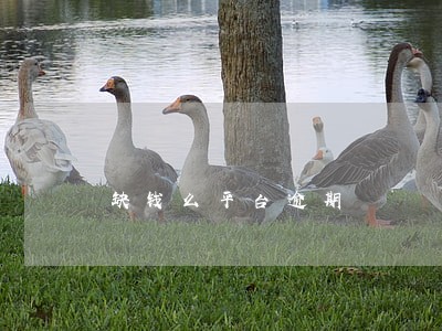 缺钱么平台逾期 缺钱么平台逾期