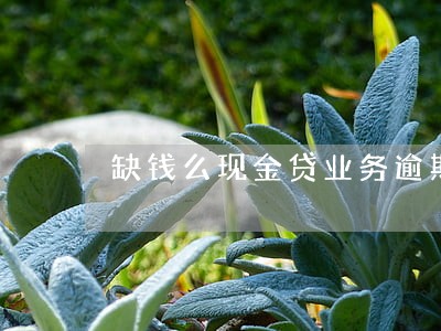 缺钱么现金贷业务逾期 缺钱么现金贷业务逾期