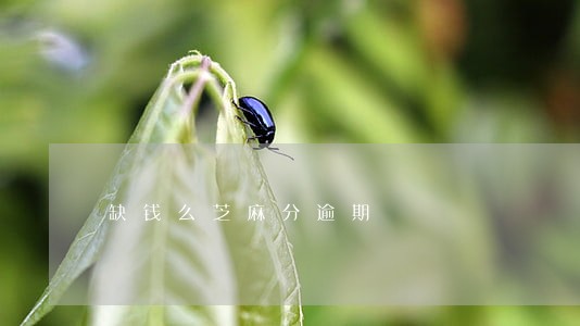缺钱么芝麻分逾期 缺钱么芝麻分逾期