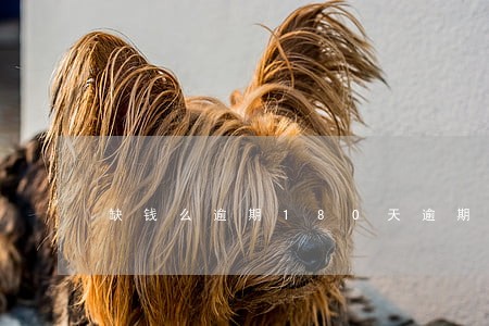 缺钱么逾期180天逾期费