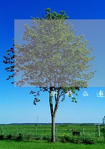 缺钱么逾期1年协商还本金 缺钱么逾期1年协商还本金