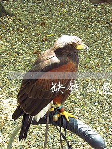 缺钱么逾期4天能借款 缺钱么逾期4天能借款