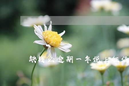 缺钱么逾期一年说上征信