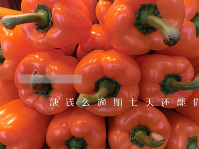 缺钱么逾期七天还能借 缺钱么逾期七天还能借
