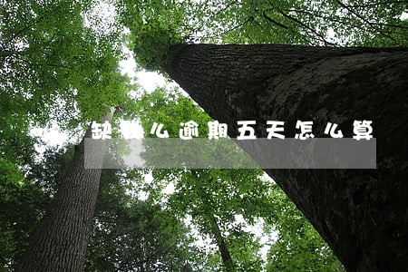 缺钱么逾期五天怎么算 缺钱么逾期五天怎么算