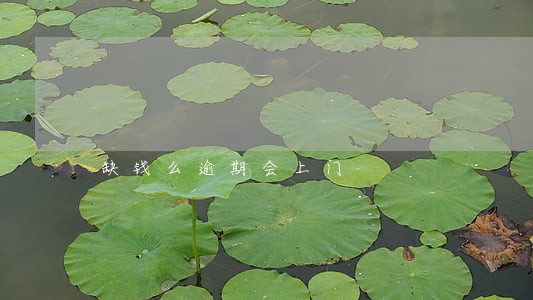 缺钱么逾期会上门