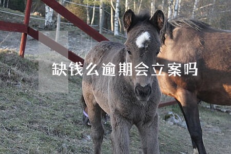 缺钱么逾期会立案吗 缺钱么逾期会立案吗
