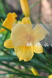 缺钱么逾期会走法律 缺钱么逾期会走法律