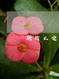 缺钱么逾期可以协商吗 缺钱么逾期可以协商吗