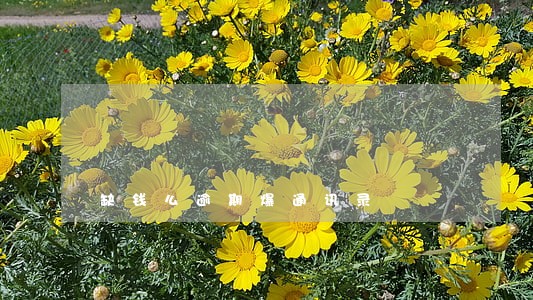 缺钱么逾期爆通讯录 缺钱么逾期爆通讯录