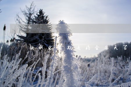 缺钱么逾期违约金每天百分之1 缺钱么逾期违约金每天百分之1