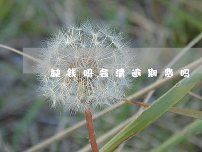 缺钱吗会清逾期费吗 缺钱吗会清逾期费吗