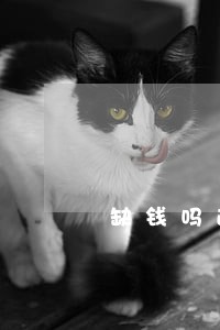 缺钱吗逾期三年 缺钱吗逾期三年