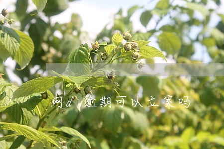 网d逾期可以立案吗 网d逾期可以立案吗