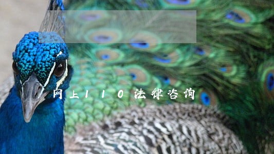 网上110法律咨询 网上110法律咨询