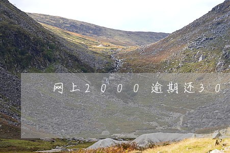 网上2000逾期还30000