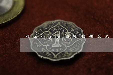 网上app借钱逾期怎么办 网上app借钱逾期怎么办