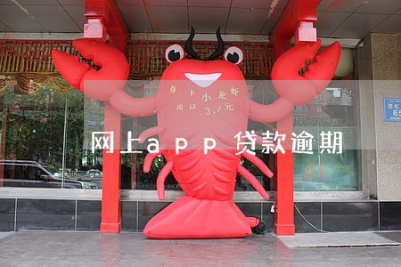 网上app贷款逾期 网上app贷款逾期