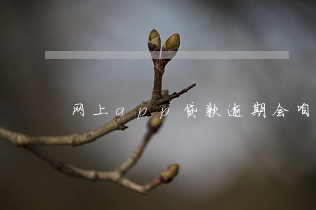 网上app贷款逾期会咱样 网上app贷款逾期会咱样
