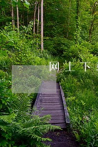 网上下载音乐在中国大陆违法吗 网上下载音乐在中国大陆违法吗