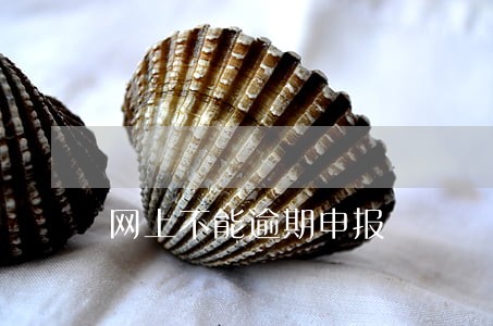 网上不能逾期申报 网上不能逾期申报