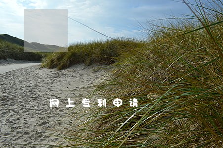 网上专利申请 网上专利申请