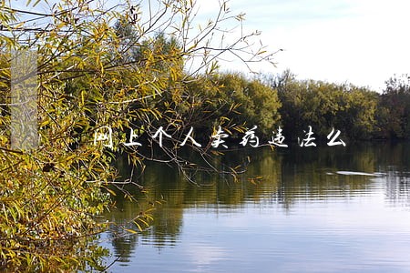 网上个人卖药违法么 网上个人卖药违法么