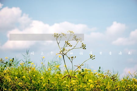 网上个人征信没有查询到逾期